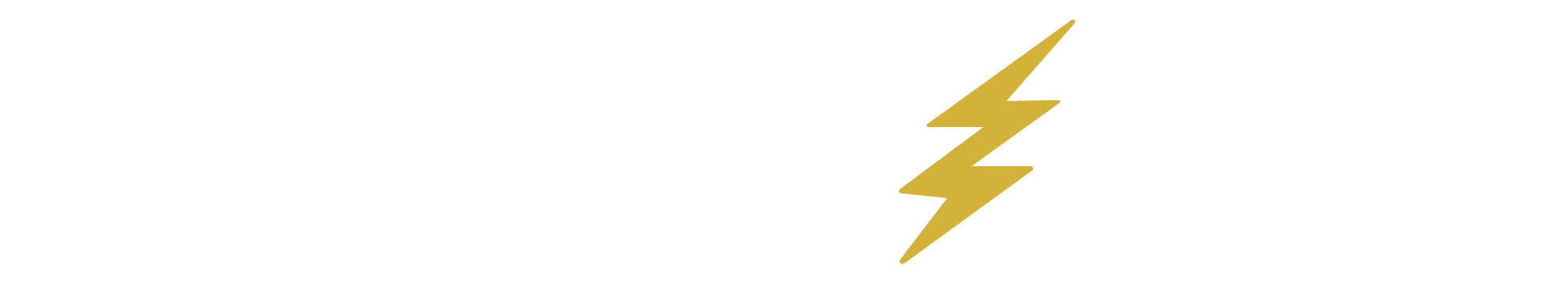Champion Electric Logo